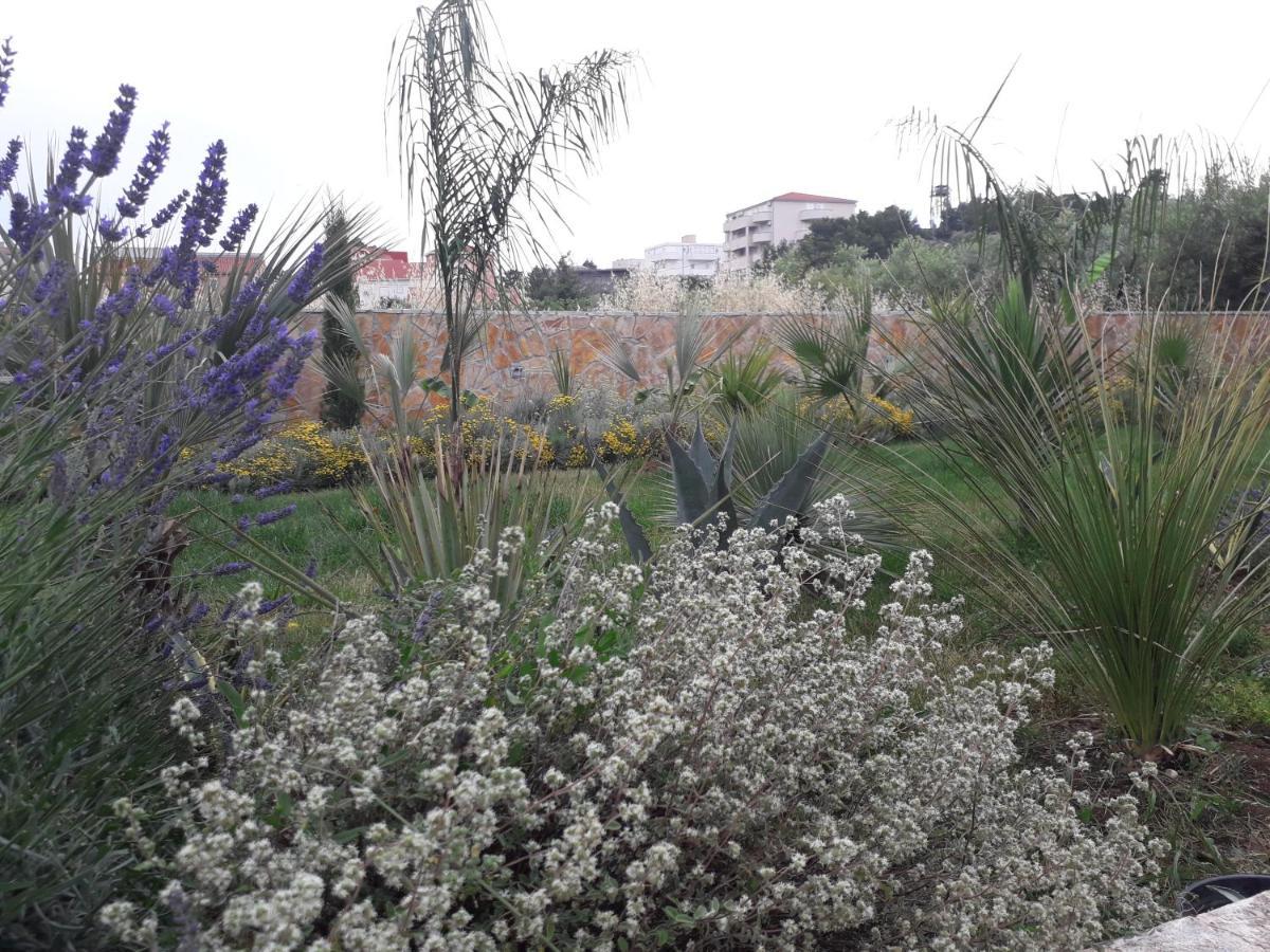 סטוברץ Palm Paradise מראה חיצוני תמונה