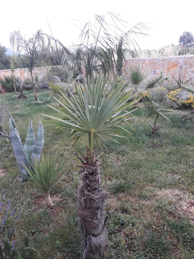 סטוברץ Palm Paradise מראה חיצוני תמונה