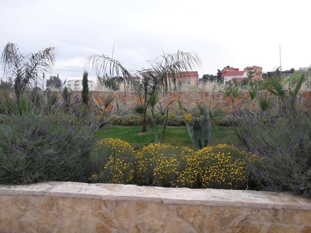 סטוברץ Palm Paradise מראה חיצוני תמונה